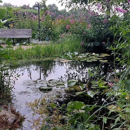 Vakantiehuisje Achter Odiliapeel Esterno foto