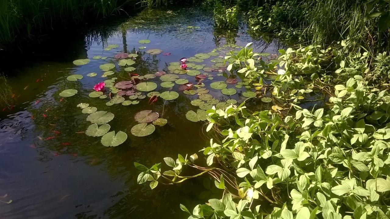 Vakantiehuisje Achter Odiliapeel Esterno foto