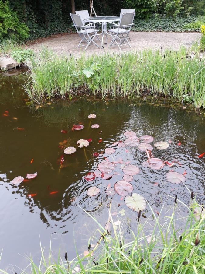 Vakantiehuisje Achter Odiliapeel Esterno foto