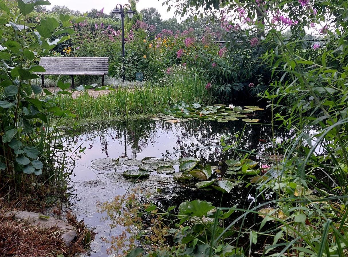 Vakantiehuisje Achter Odiliapeel Esterno foto